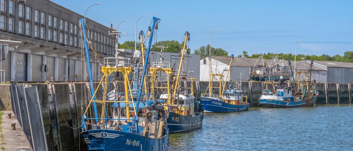 14 Hergeboorte Vismijn Nieuwpoort Hero